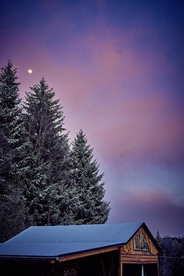 Blickinsfreie - Cabin Villa Schöneck Esterno foto